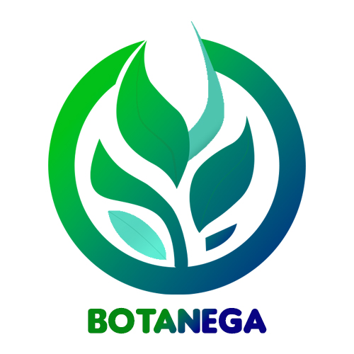 Logo Botaganic Botanega - Innovative Plant Solutions